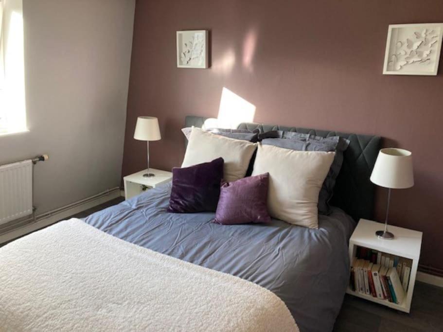 Agreable Et Spacieuse Maison Centre Ville Saint-Omer Zewnętrze zdjęcie